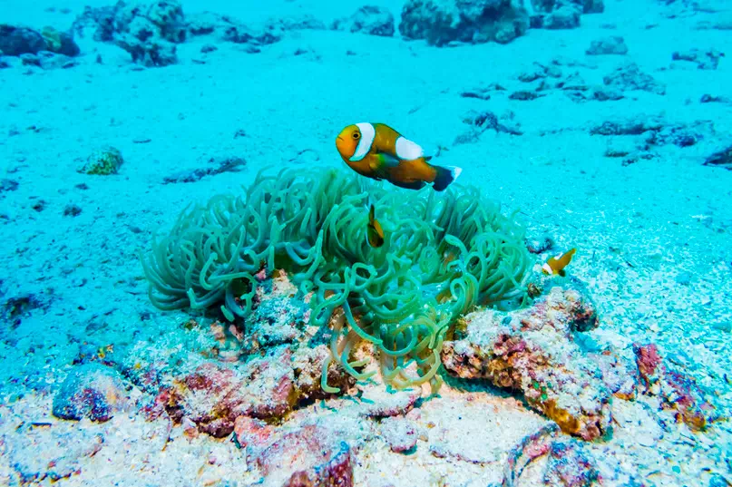 4 islands tour by longtail view 6