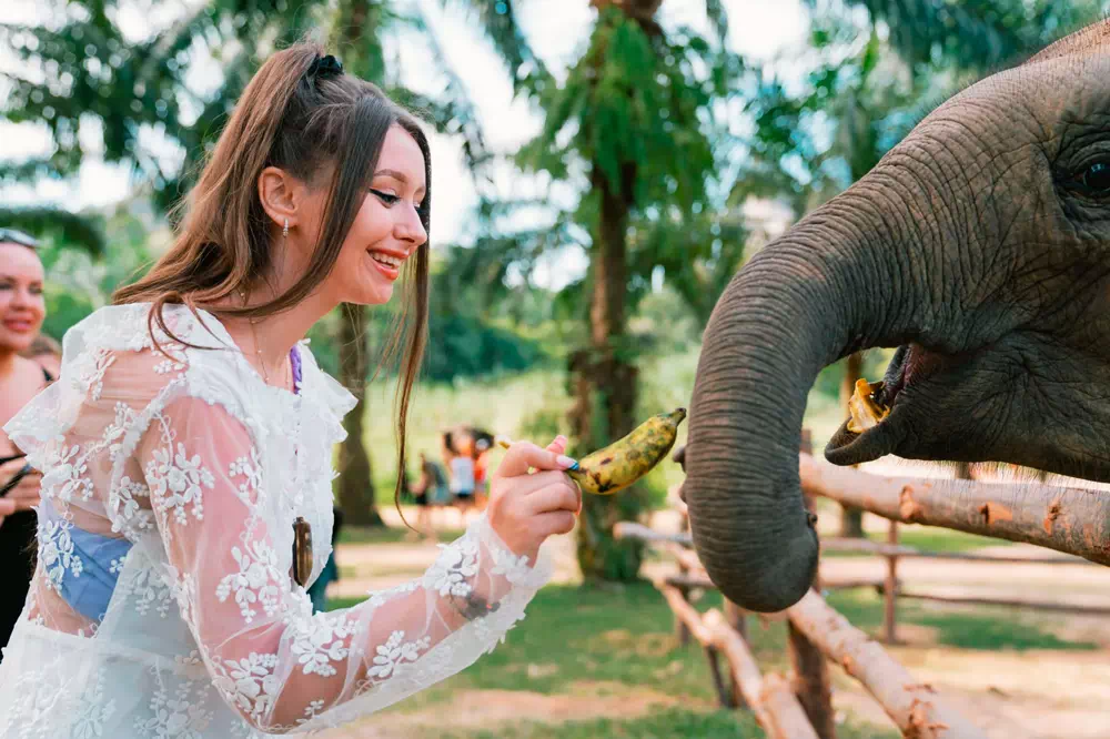 Экскурсия в заповедник слонов в Краби вид 2