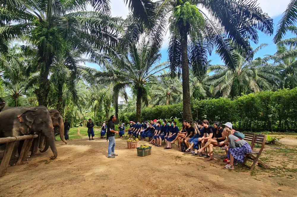 Экскурсия в заповедник слонов в Краби вид 3