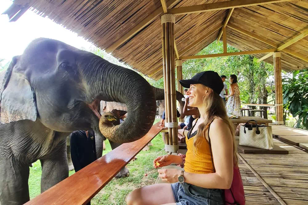 Экскурсия в заповедник слонов в Краби вид 5