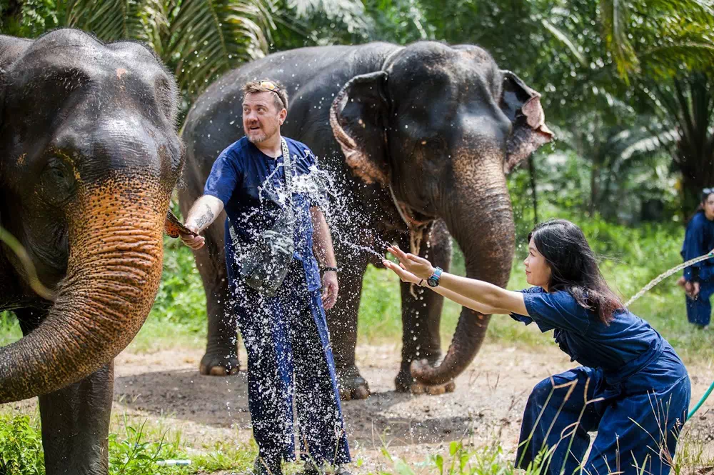 Экскурсия в заповедник слонов в Краби вид 6