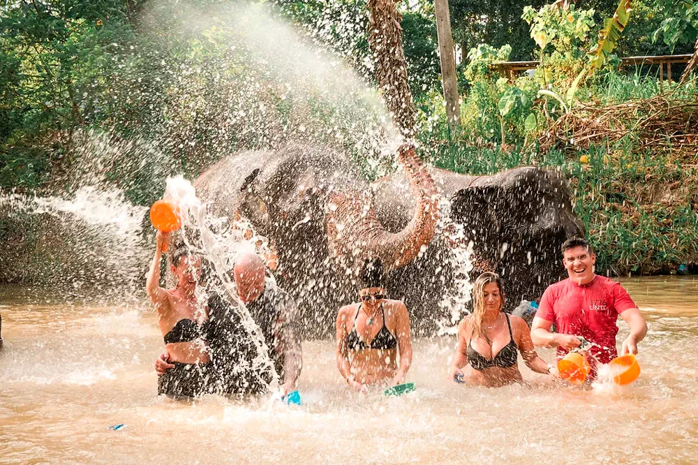 Экскурсия в заповедник слонов в Краби вид 7