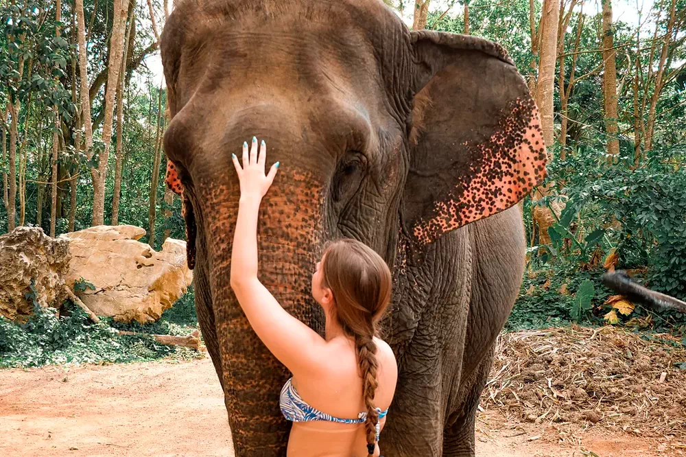 Экскурсия в заповедник слонов в Краби вид 8