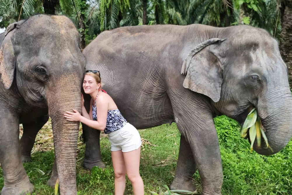 Экскурсия в заповедник слонов в Краби вид 9