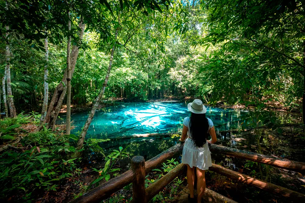 Экскурсия к Изумрудному озеру, горячим источникам и храму Пещера Тигра из Краби view 1