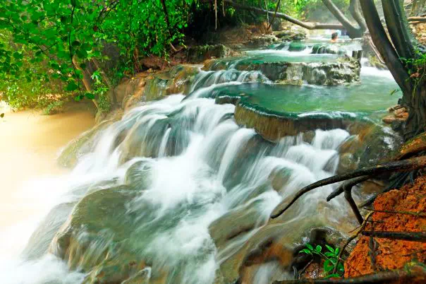 Экскурсия к Изумрудному озеру, горячим источникам и храму Пещера Тигра из Краби view 11