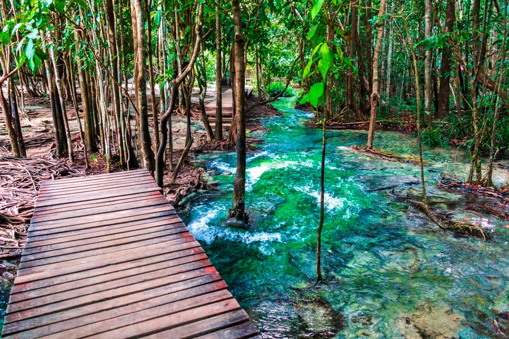 Экскурсия к Изумрудному озеру, горячим источникам и храму Пещера Тигра из Краби view 2