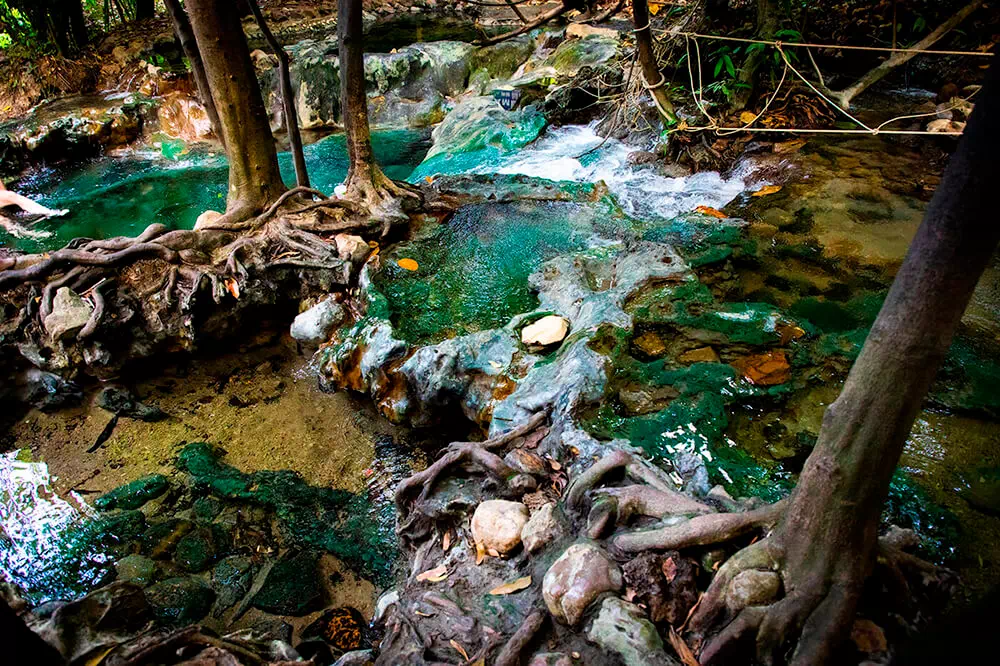 Экскурсия к Изумрудному озеру, горячим источникам и храму Пещера Тигра из Краби view 3