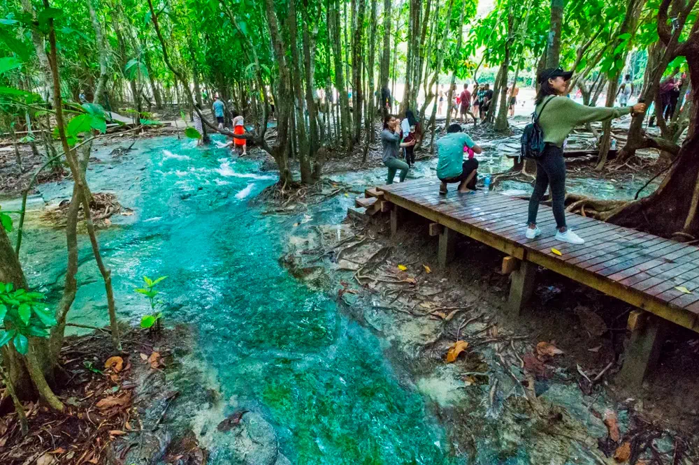 Экскурсия к Изумрудному озеру, горячим источникам и храму Пещера Тигра из Краби view 5