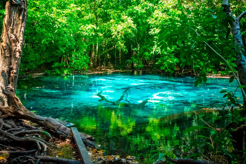 Экскурсия к Изумрудному озеру, горячим источникам и храму Пещера Тигра из Краби view 9