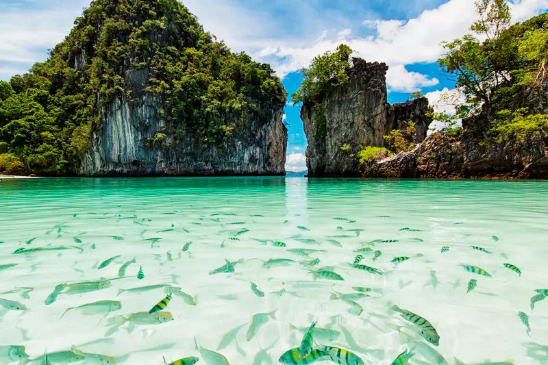 Экскурсия на остров Хонг на скоростном катере из Краби view 11