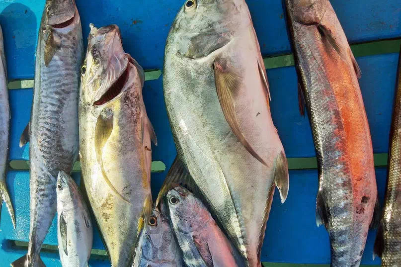 Приватная морская рыбалка в Краби вид 10