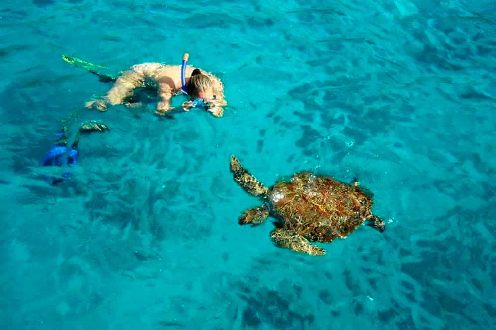 Экскурсия на Симиланские острова на скоростном катере из Краби view 10