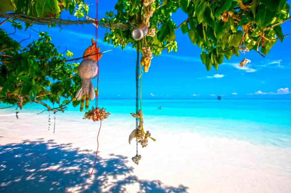 Экскурсия на Симиланские острова на скоростном катере из Краби view 3